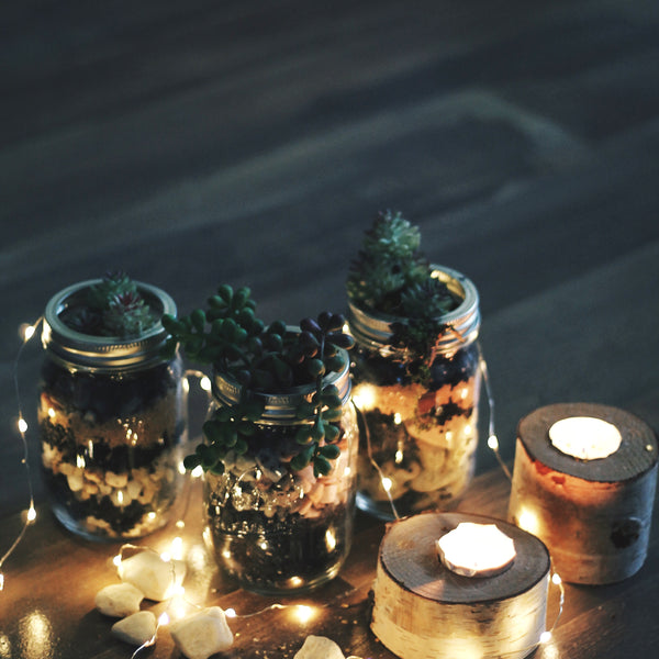 Layered Succulent Jars