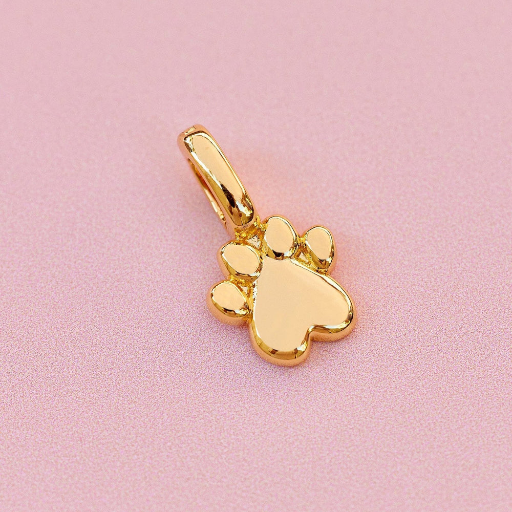 Harper Paw Charm 3