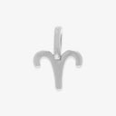 Harper Zodiac Charm