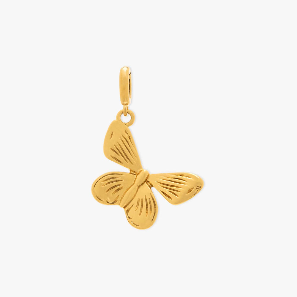 Harper Butterfly Charm 1