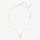 Seashell Pendant Necklace