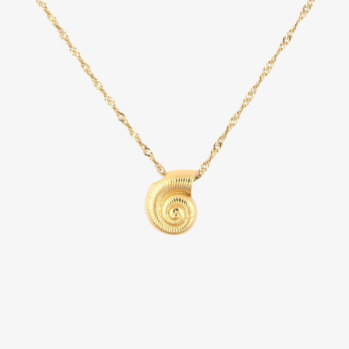 Seashell Pendant Necklace