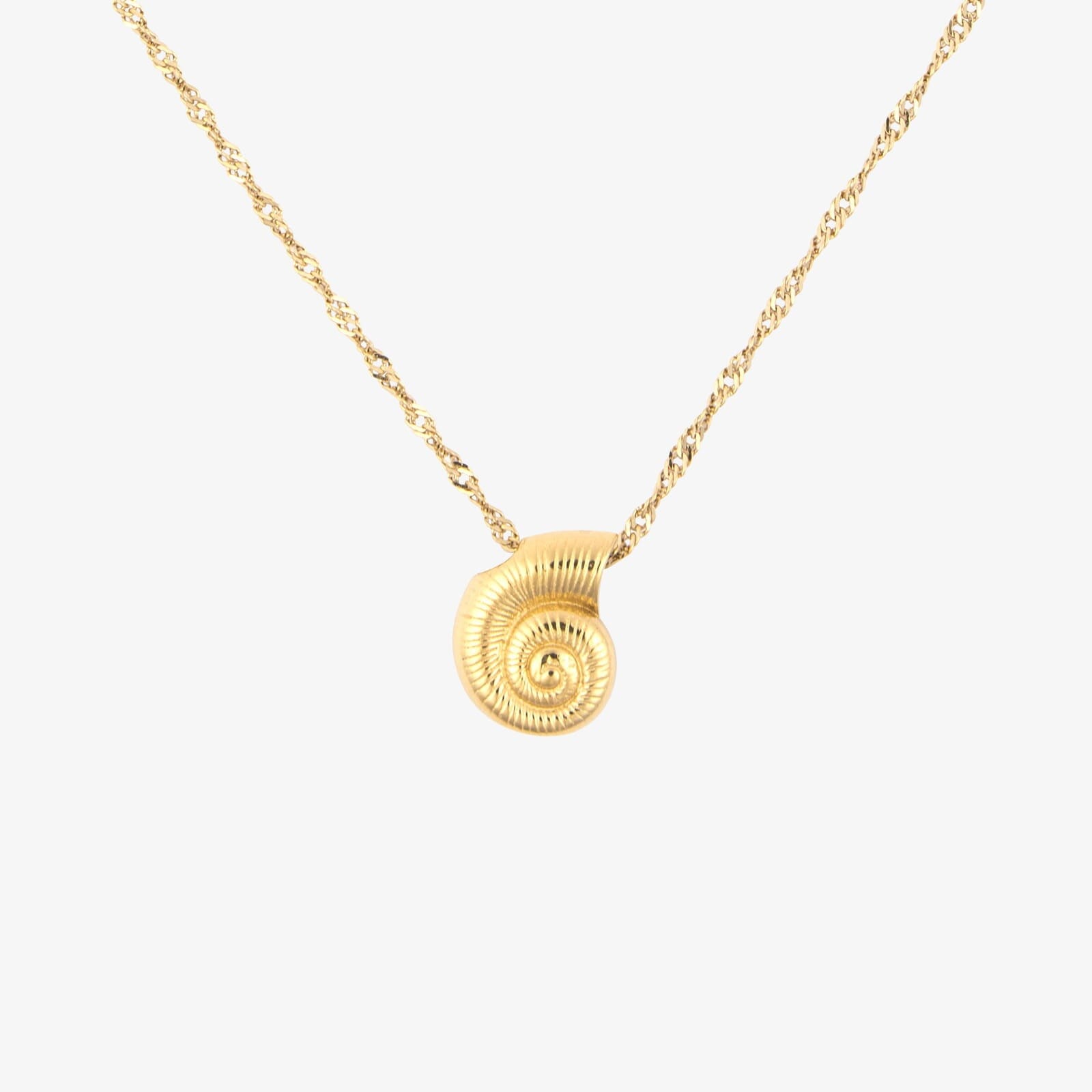 Seashell Pendant Necklace