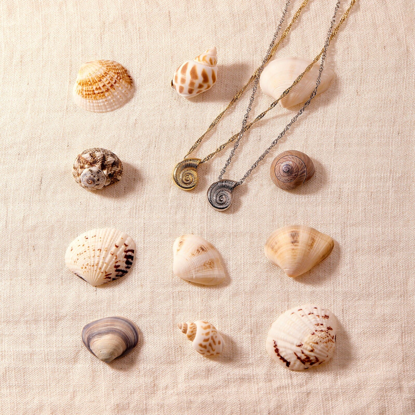 Seashell Pendant Necklace