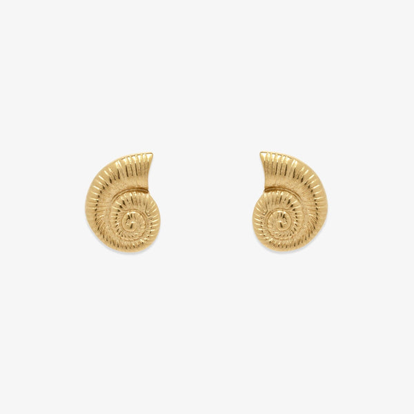 Seashell Stud Earrings