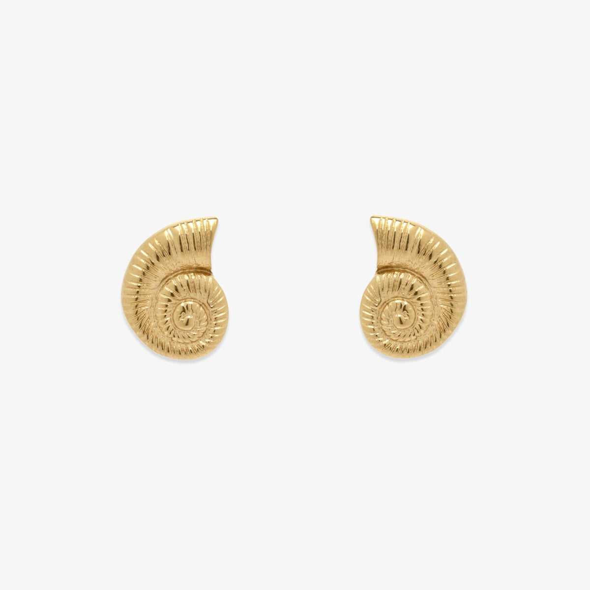 Seashell Stud Earrings