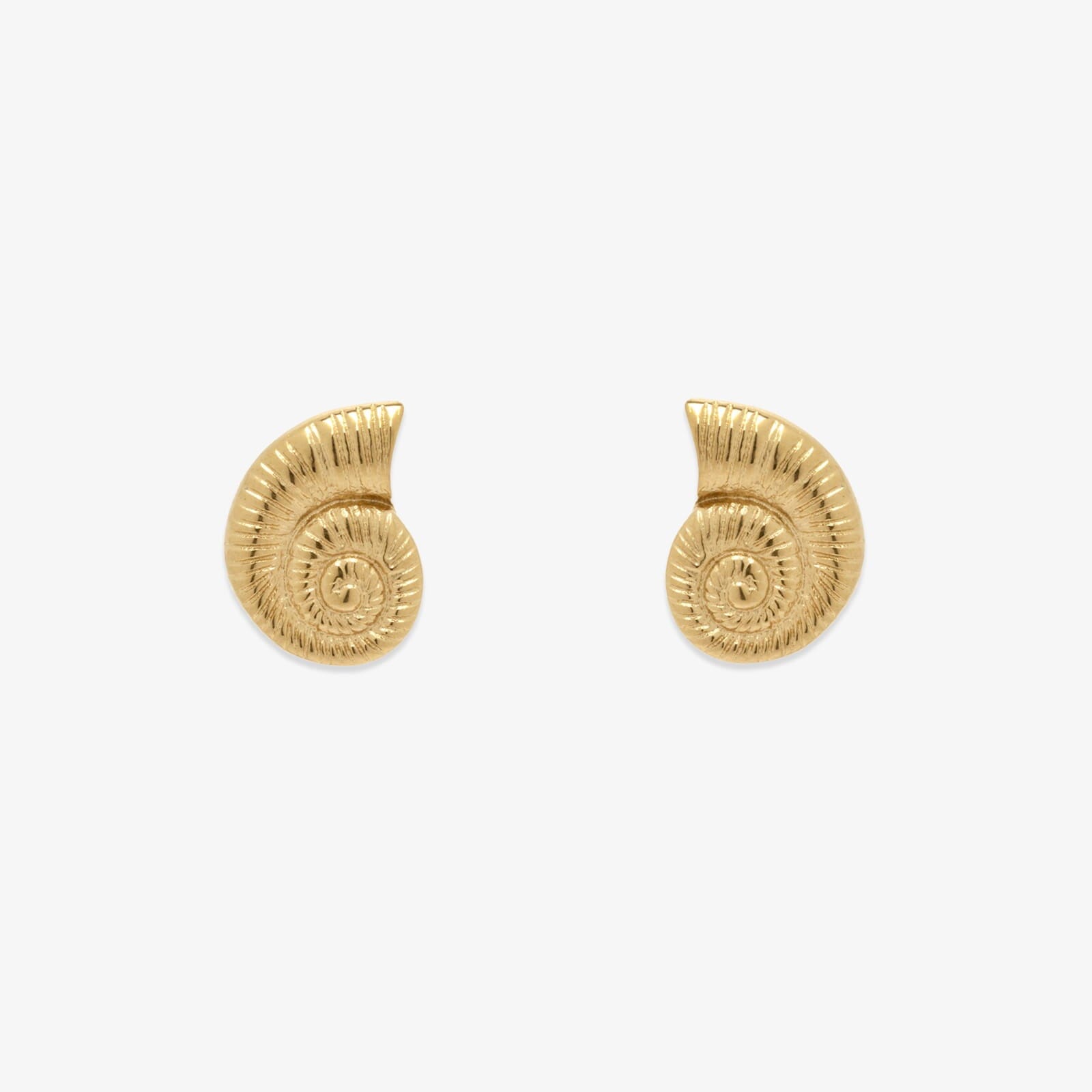 Seashell Stud Earrings