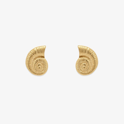 Seashell Stud Earrings