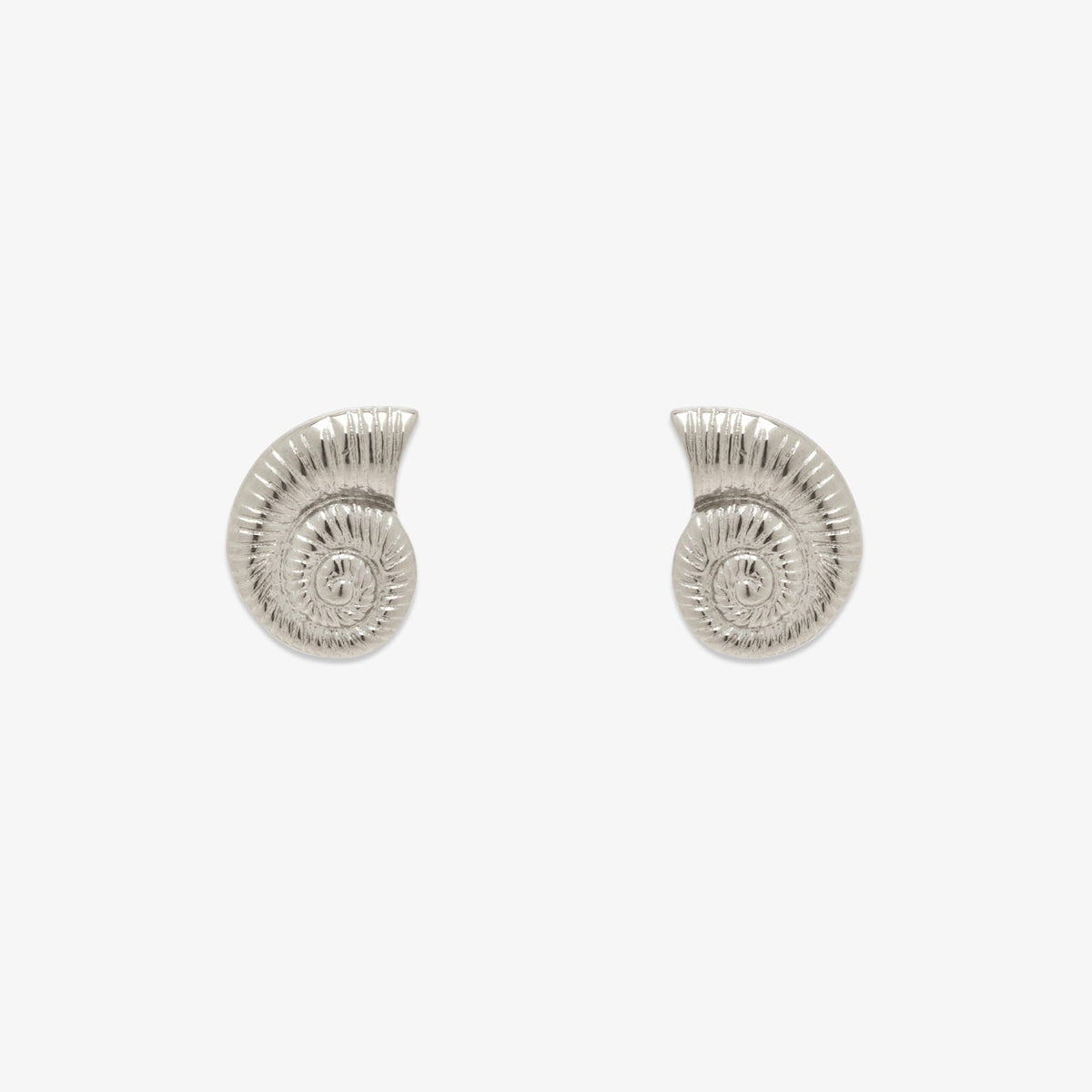 Seashell Stud Earrings