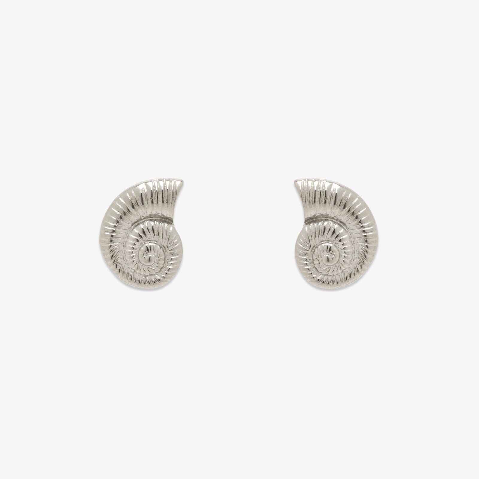 Seashell Stud Earrings