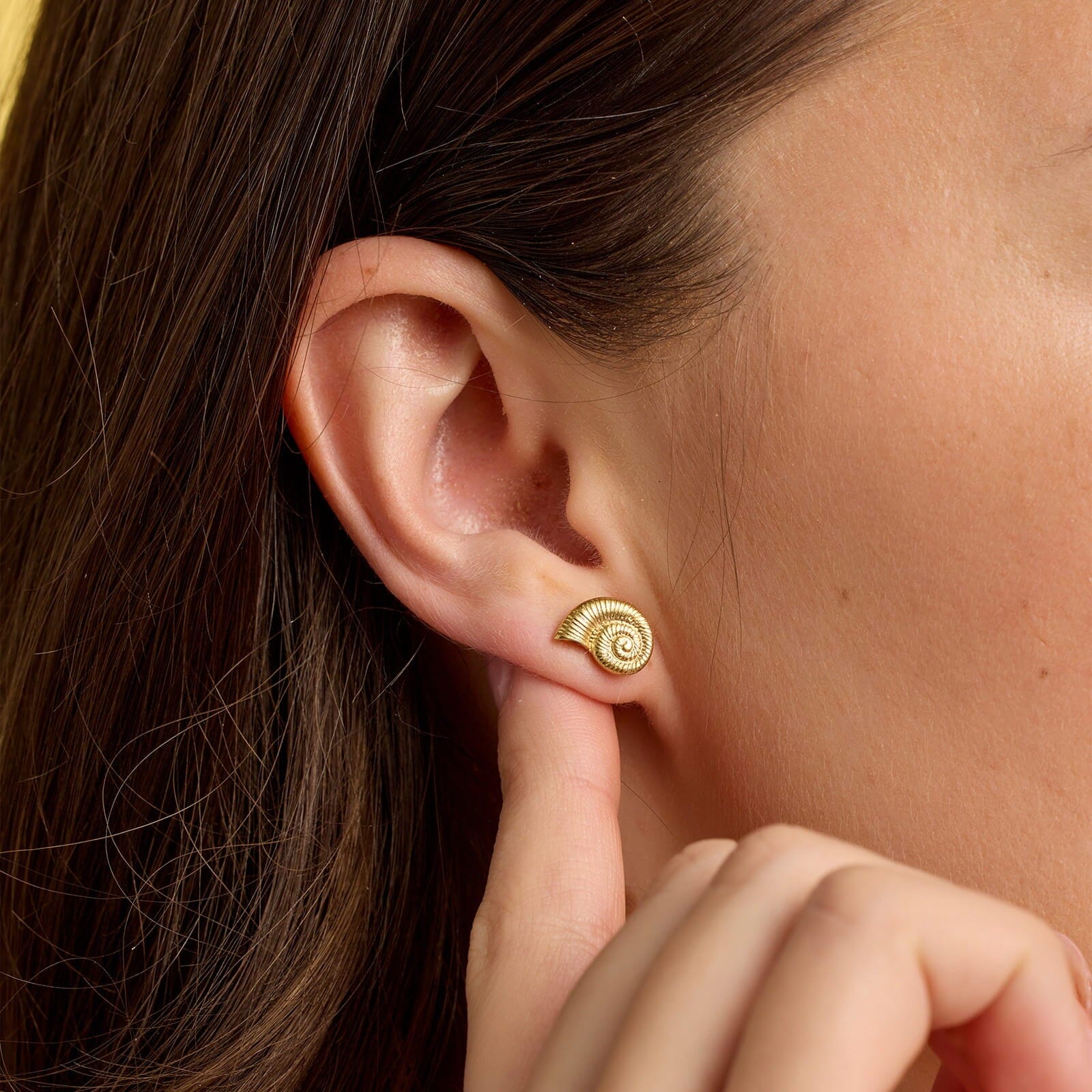 Seashell Stud Earrings