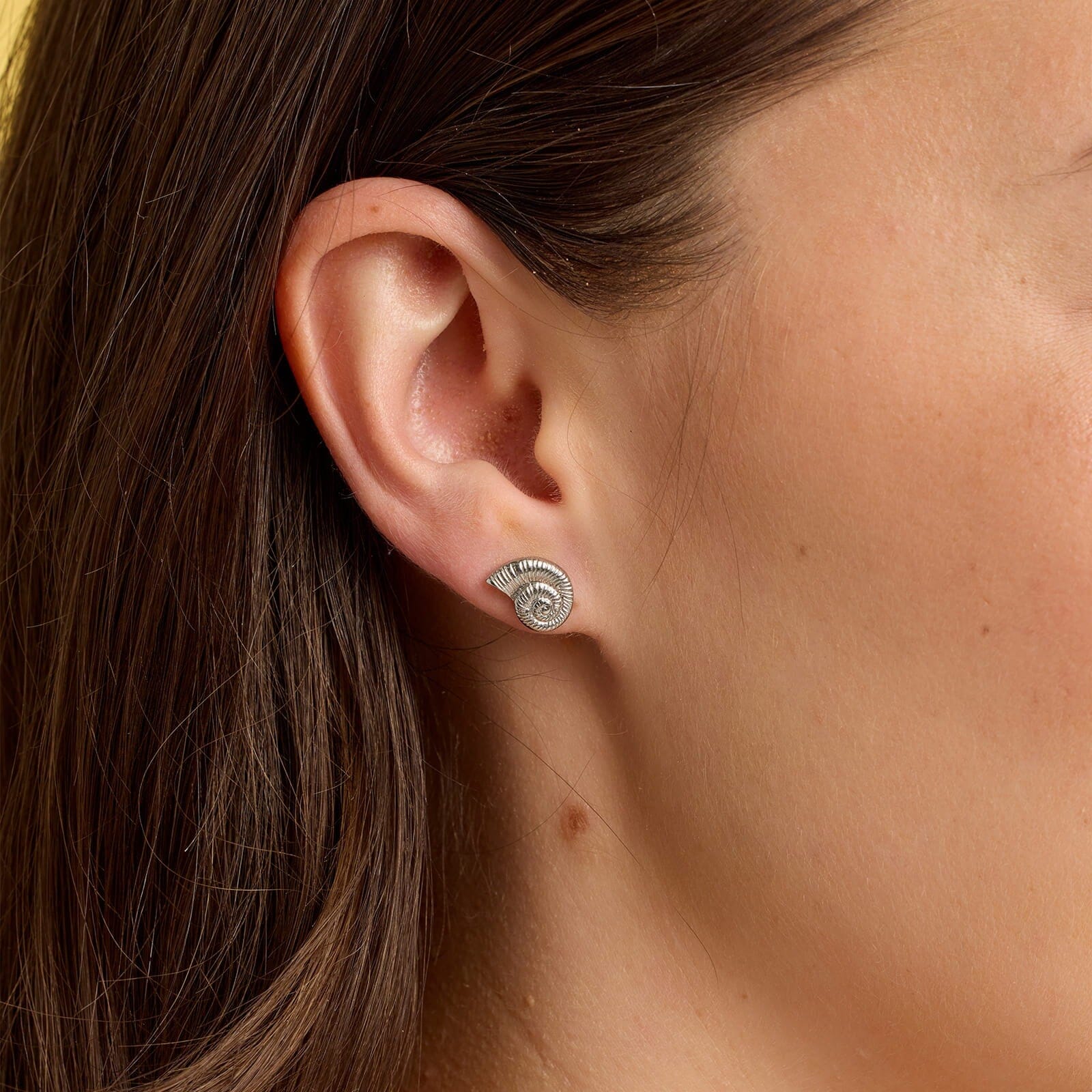 Seashell Stud Earrings