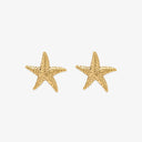 Sea Star Statement Earrings