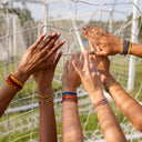 Maroon & Yellow Collection